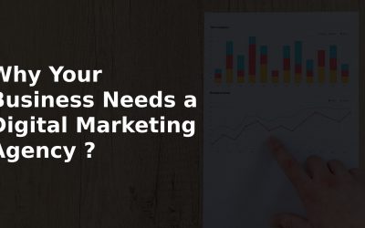 Why Your Business Needs a Digital Marketing Agency ?